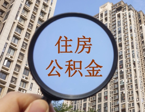 长岭退休后查不到公积金明细了吗（退休后公积金查询不到原因）